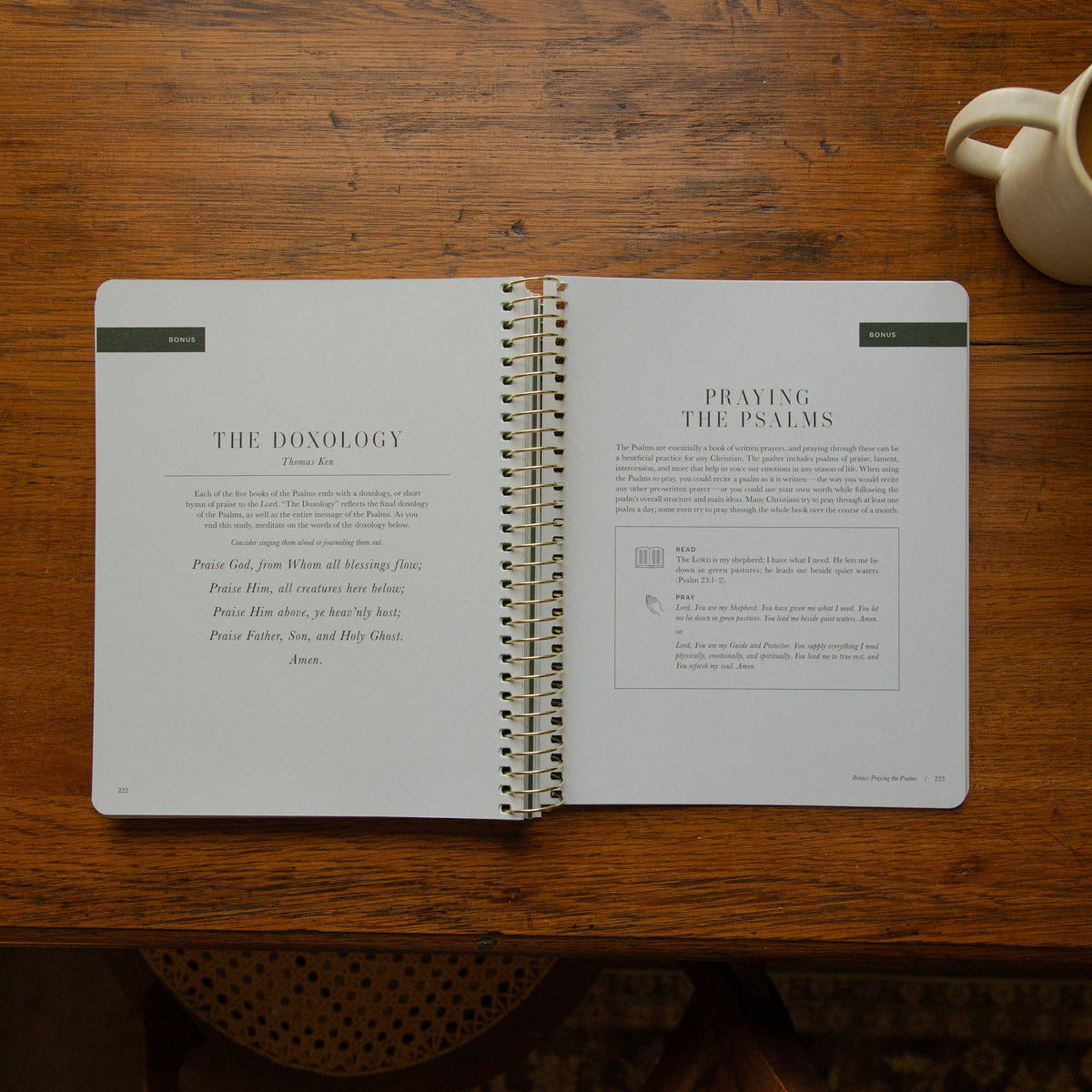The Psalms Spiral Bible Study | Volume 3