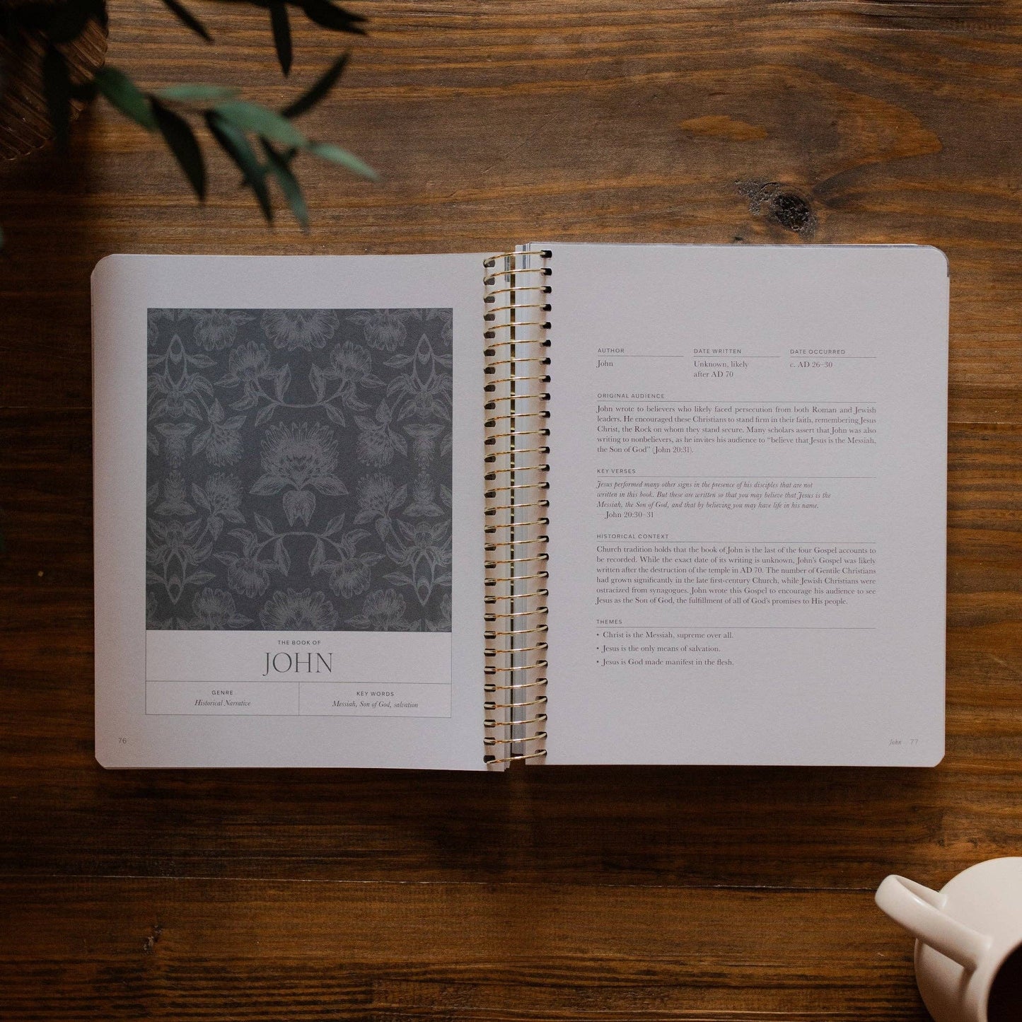 A Year in the Bible | Vol. 4 Bible Study