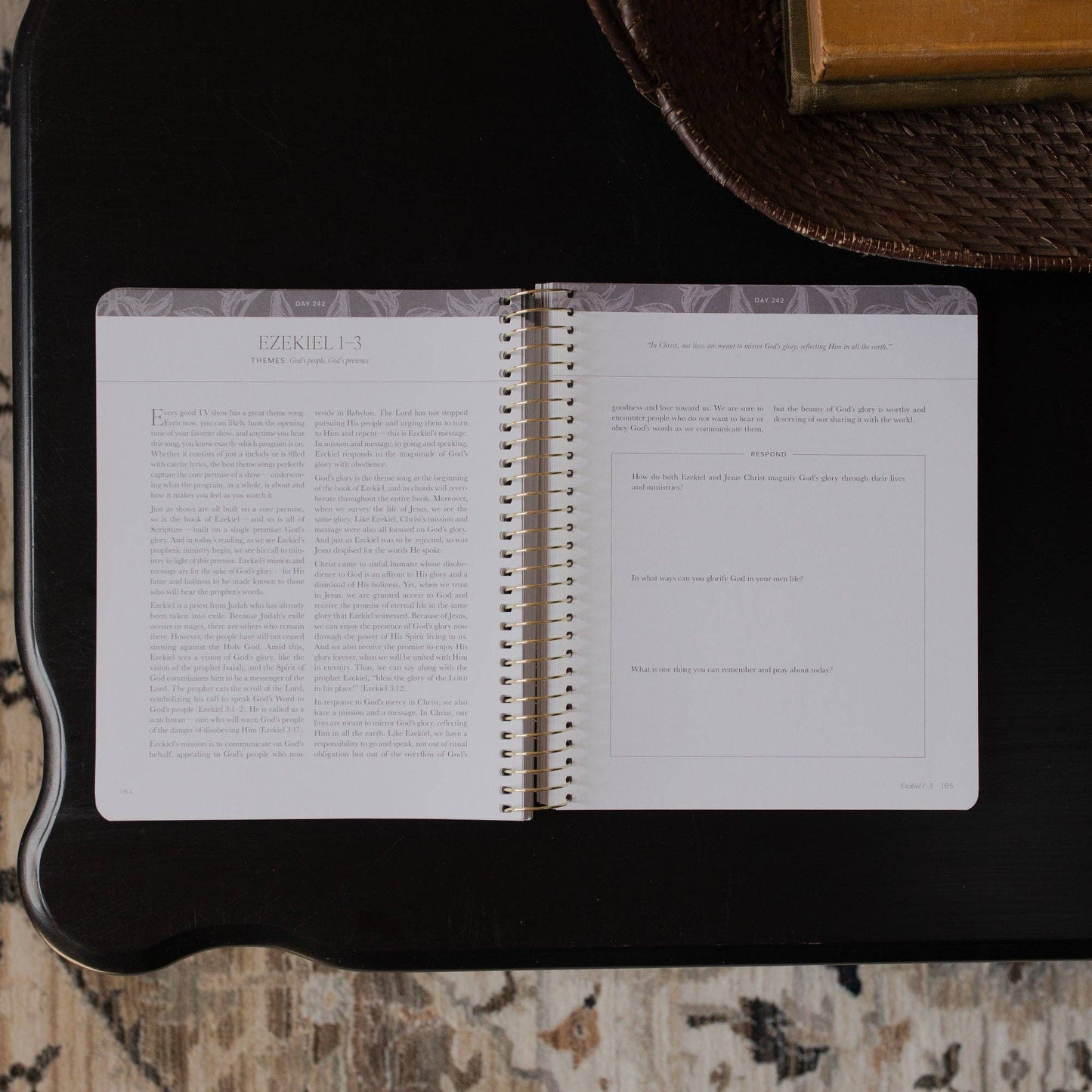 A Year in the Bible | Vol 3 Bible Study