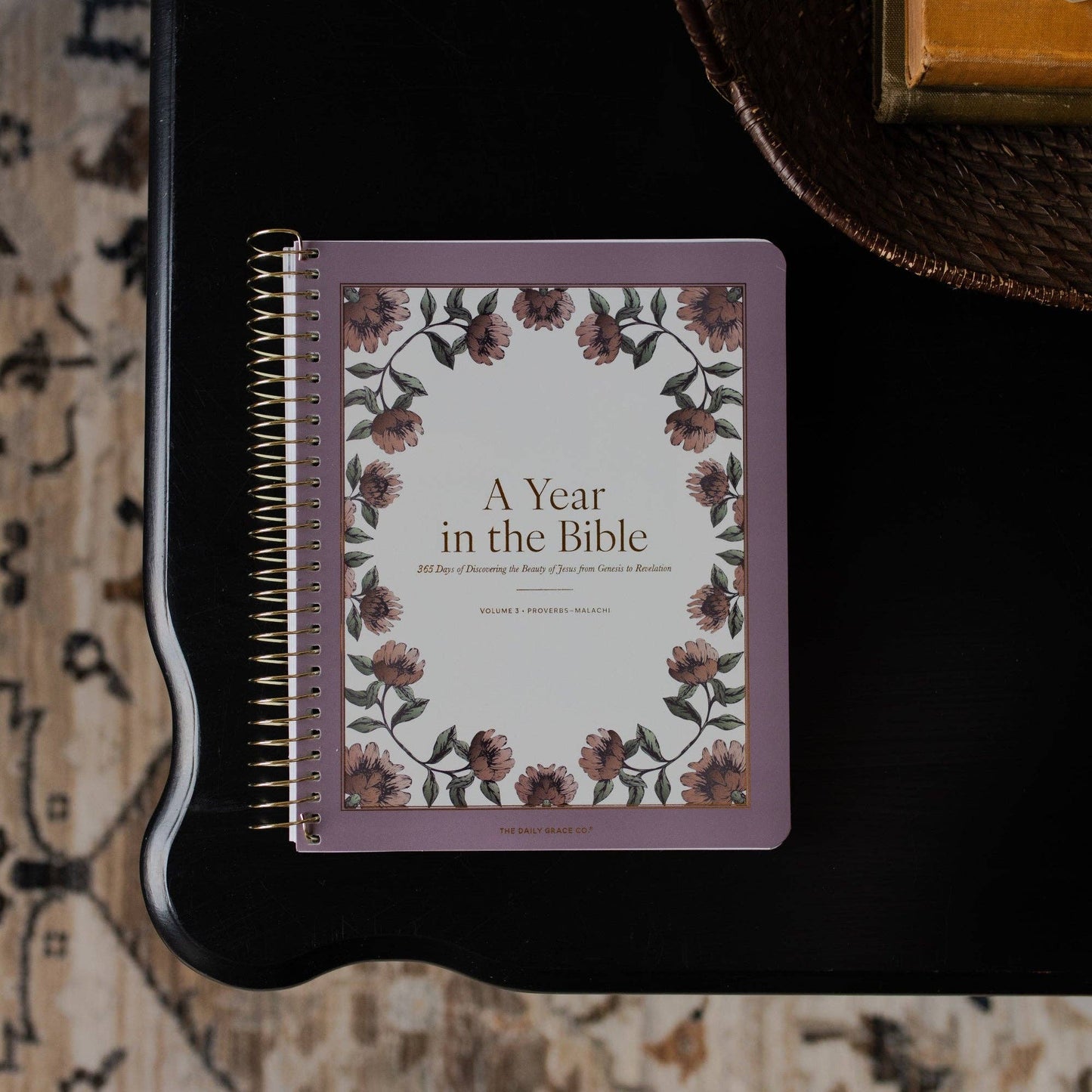 A Year in the Bible | Vol 3 Bible Study