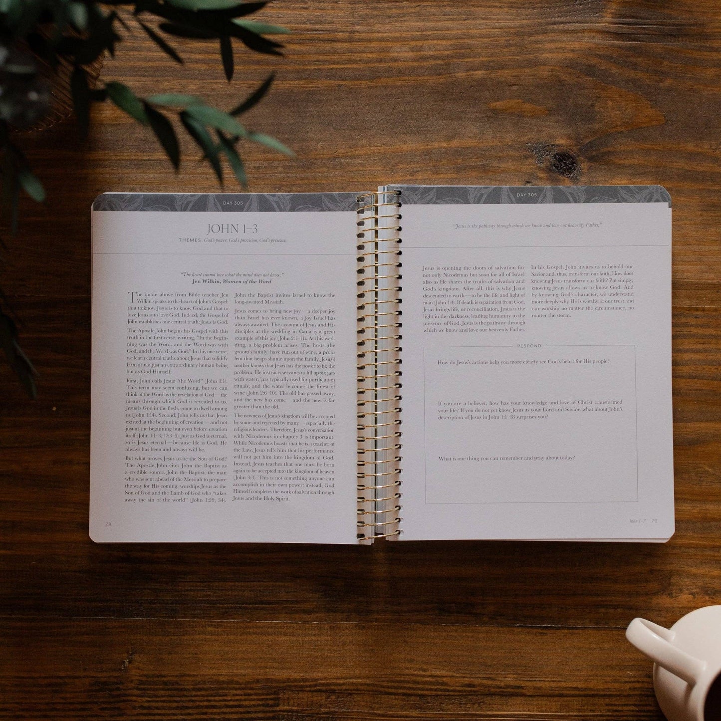 A Year in the Bible | Vol. 4 Bible Study