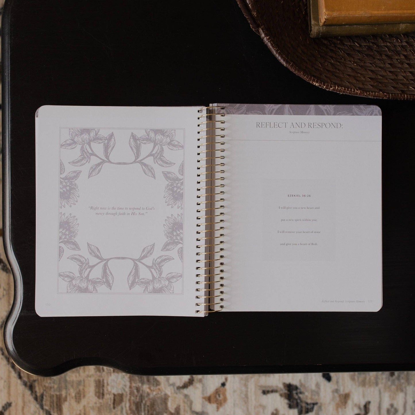 A Year in the Bible | Vol 3 Bible Study