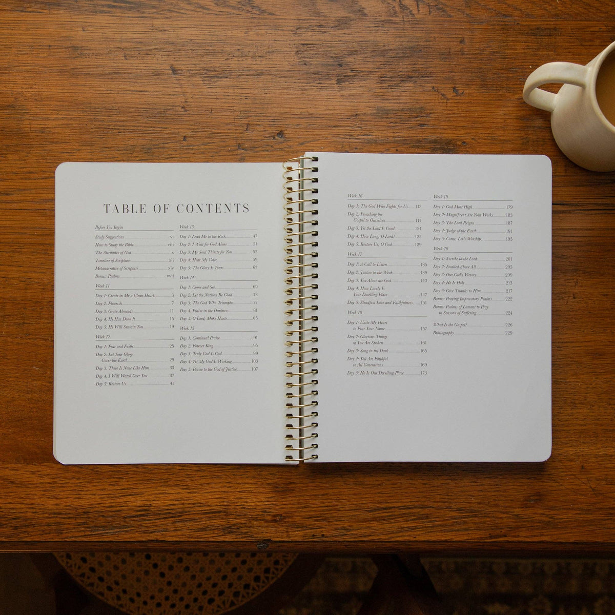 The Psalms Spiral Bible Study | Volume 2