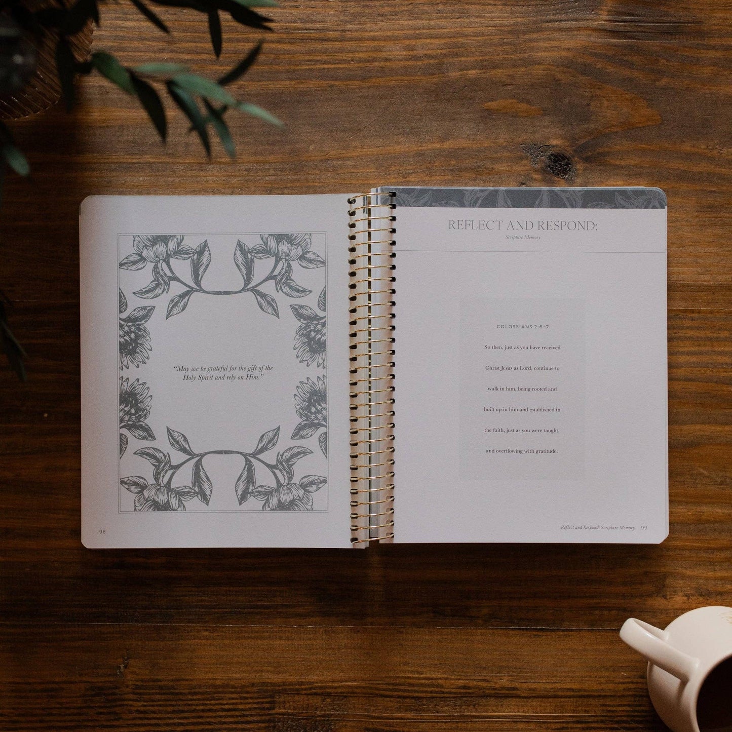 A Year in the Bible | Vol. 4 Bible Study