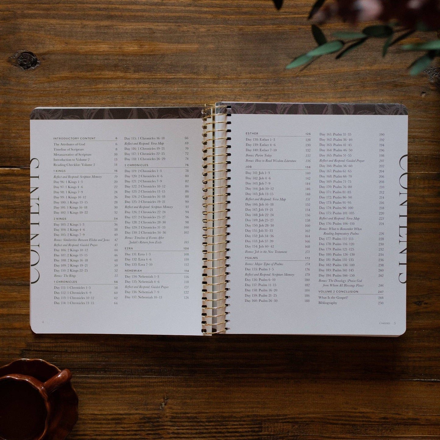 A Year in the Bible | Vol 2 Bible Study