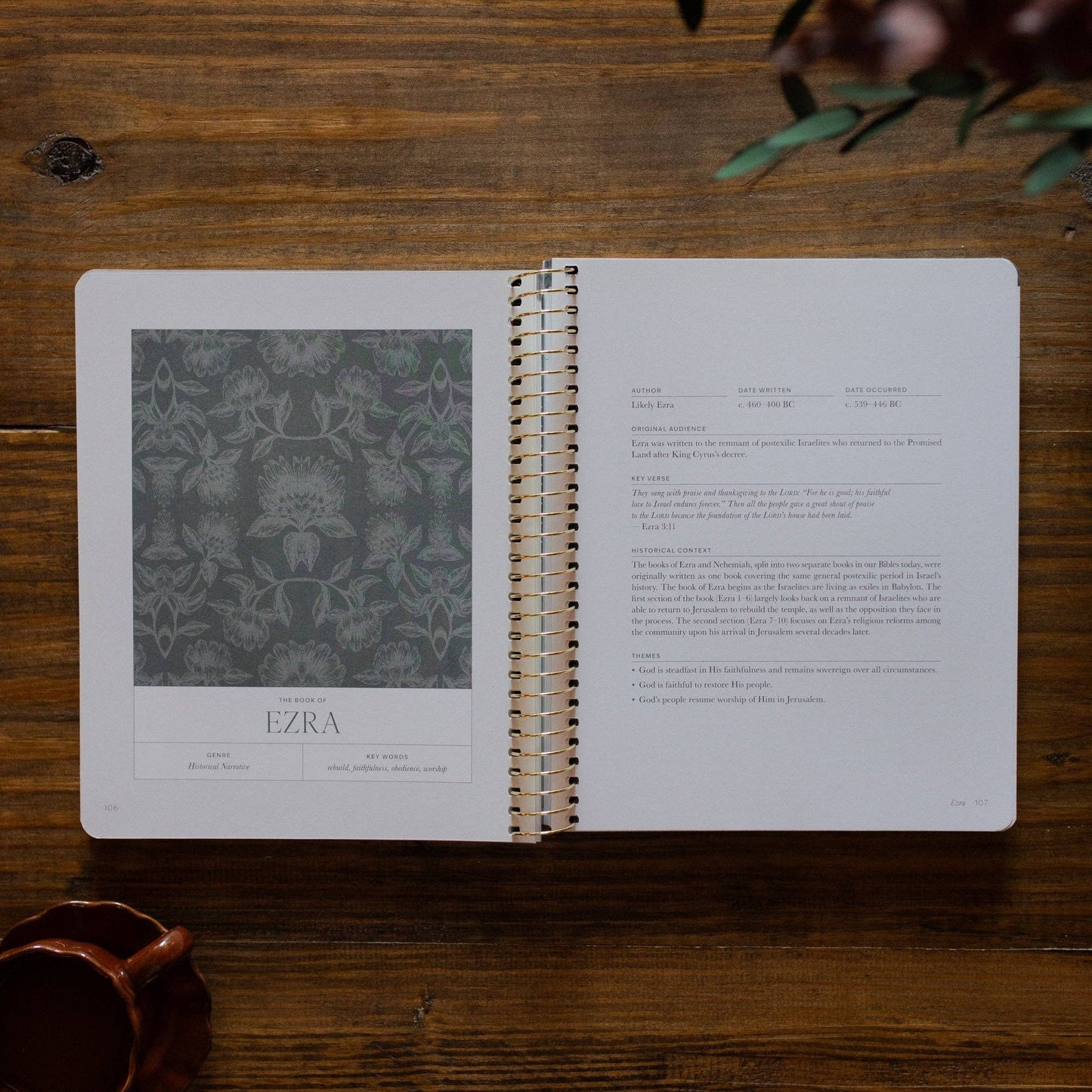 A Year in the Bible | Vol 2 Bible Study