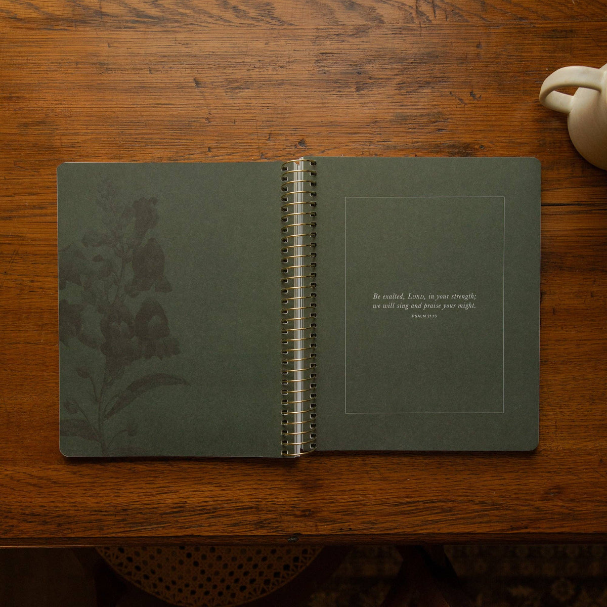 The Psalms Spiral Bible Study | Volume 1