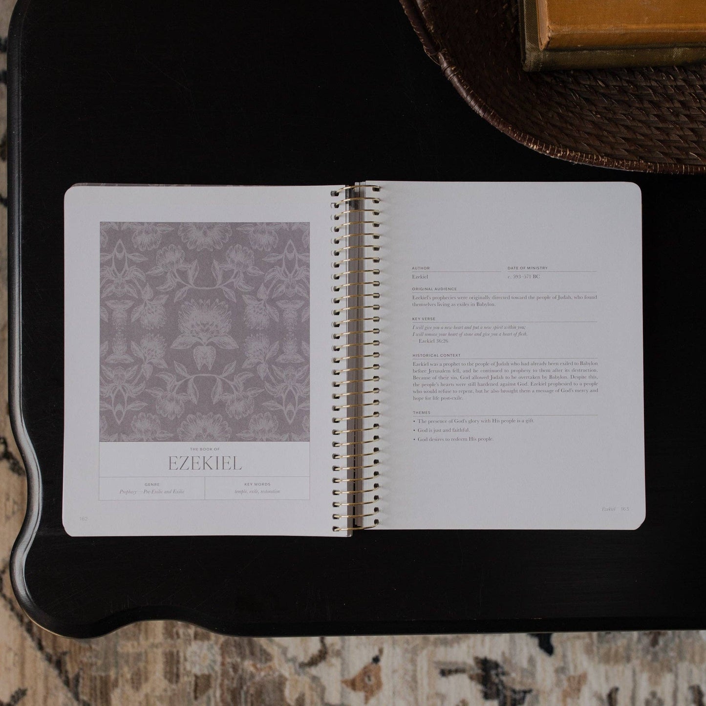 A Year in the Bible | Vol 3 Bible Study