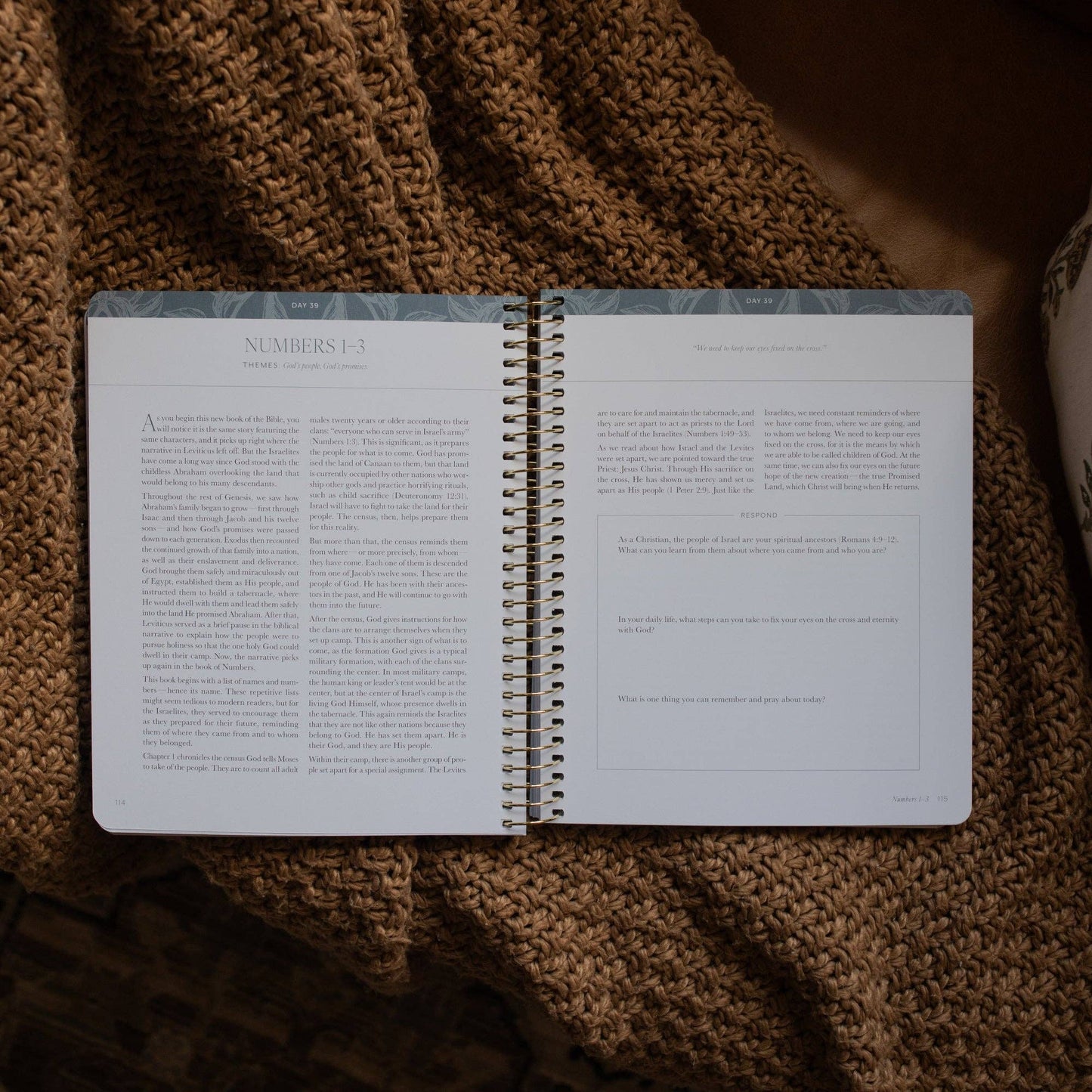 A Year in the Bible | Vol 1 Bible Study