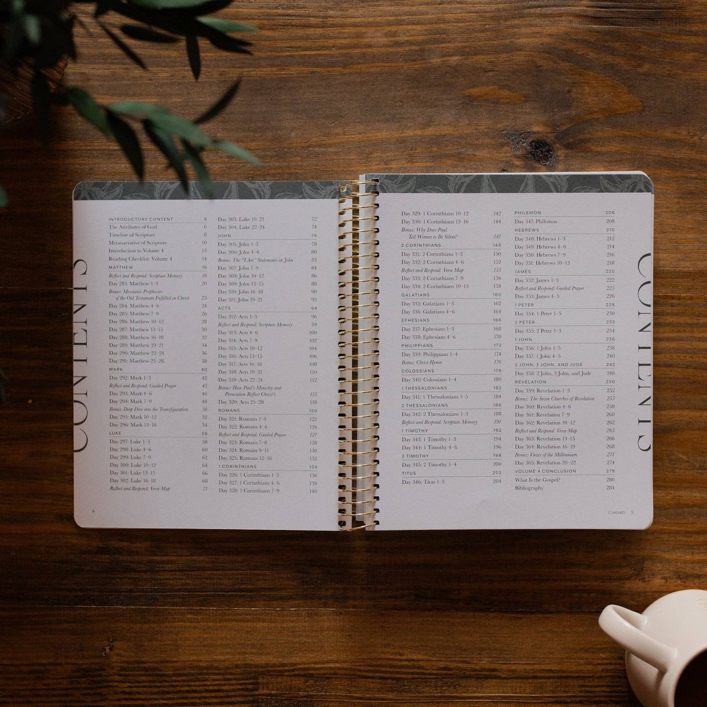 A Year in the Bible | Vol. 4 Bible Study
