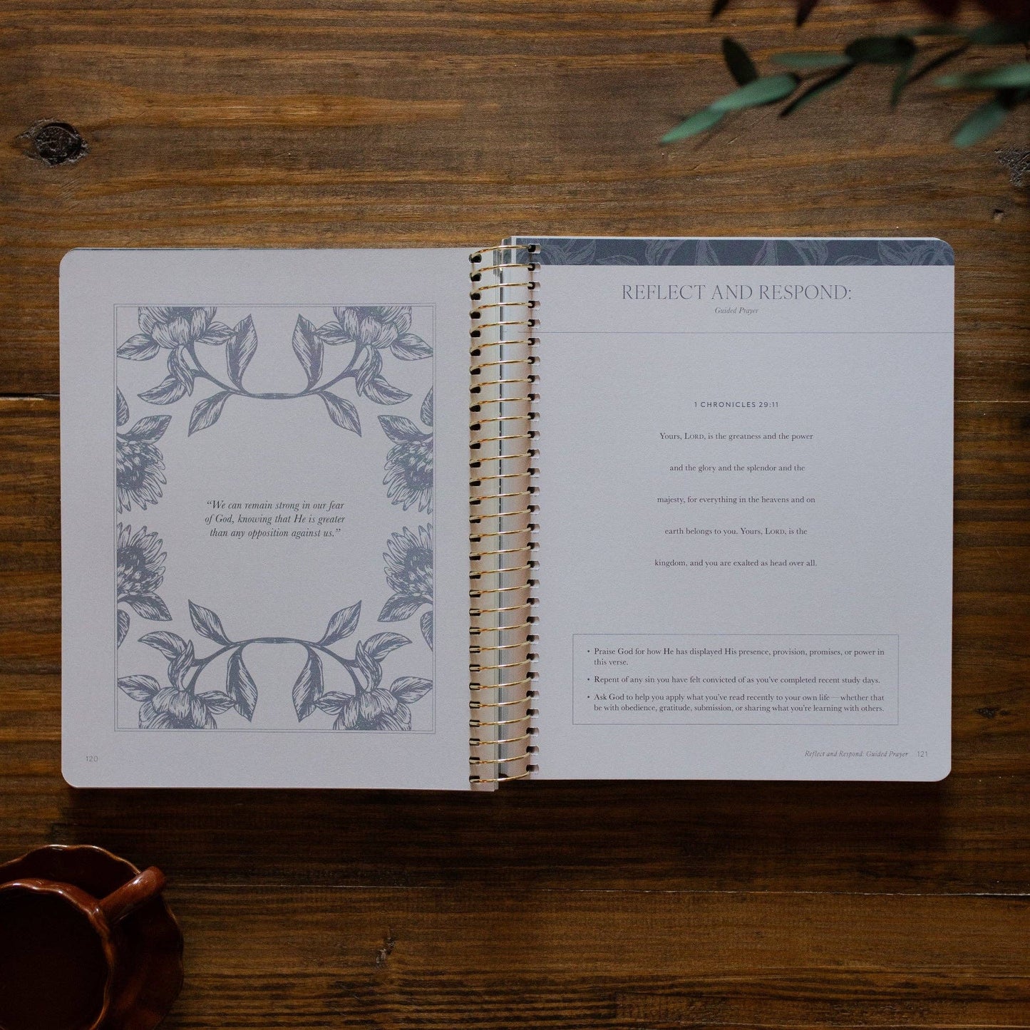 A Year in the Bible | Vol 2 Bible Study