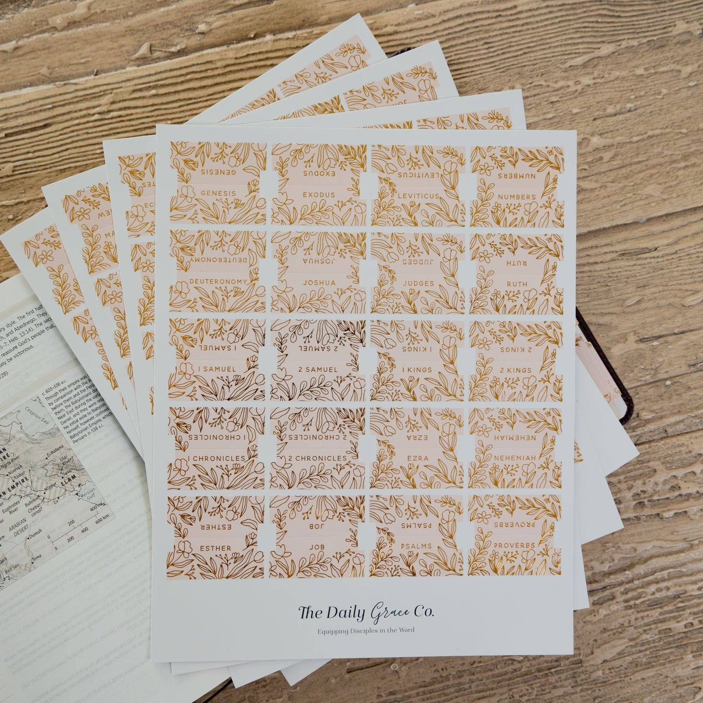 Gold Foil Bible Tabs - Carnation