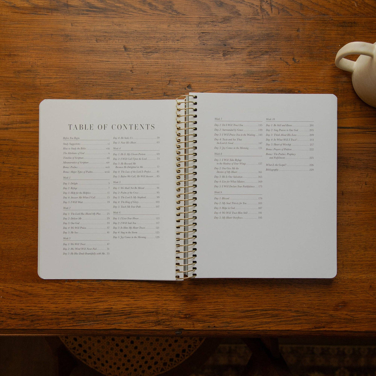The Psalms Spiral Bible Study | Volume 1