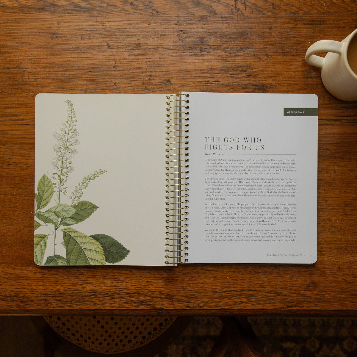 The Psalms Spiral Bible Study | Volume 2