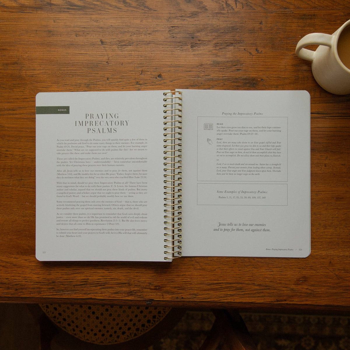 The Psalms Spiral Bible Study | Volume 2