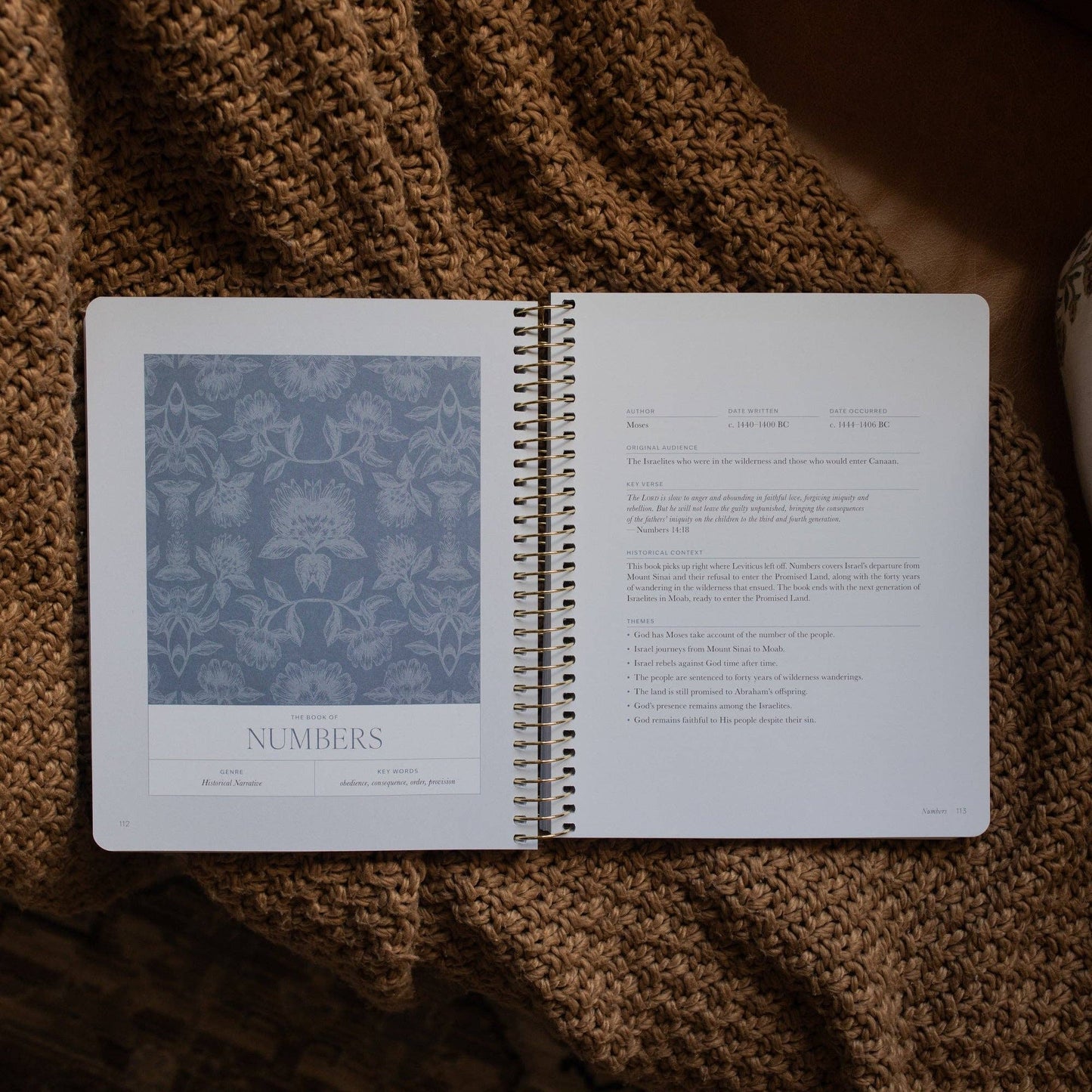 A Year in the Bible | Vol 1 Bible Study