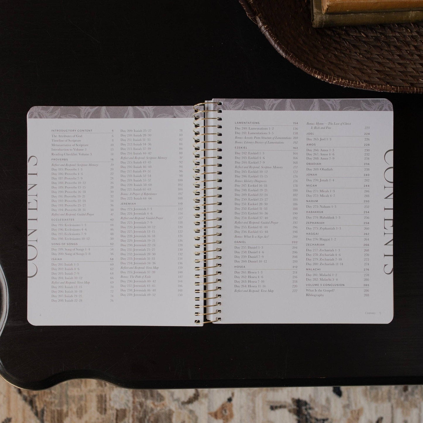 A Year in the Bible | Vol 3 Bible Study