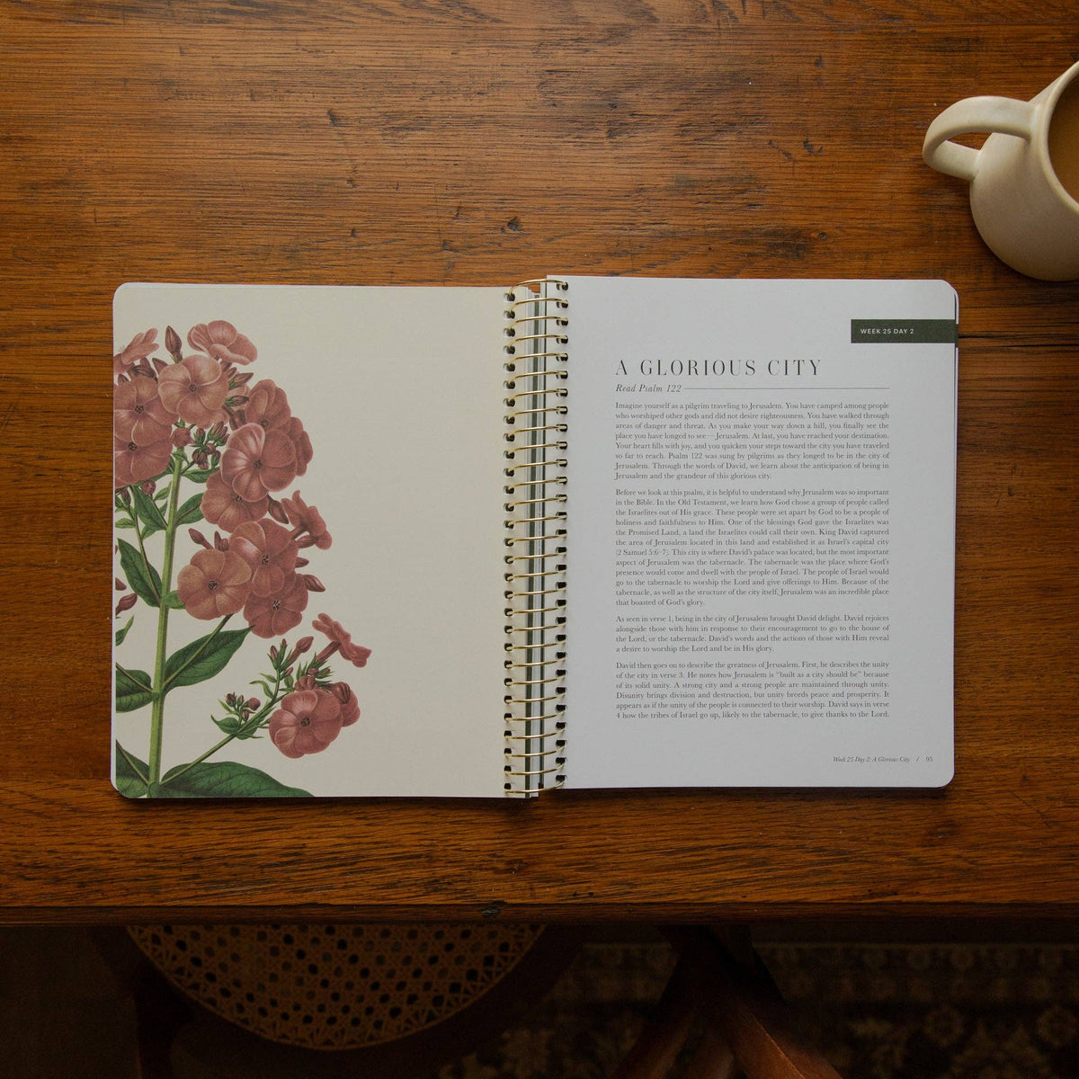 The Psalms Spiral Bible Study | Volume 3