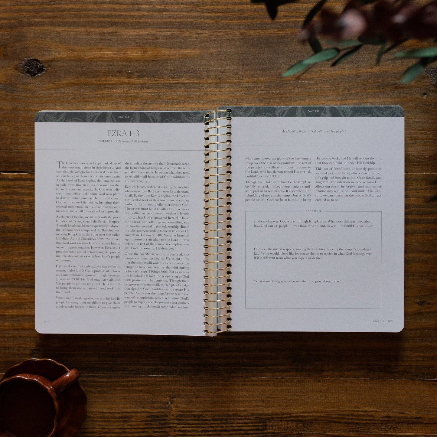 A Year in the Bible | Vol 2 Bible Study