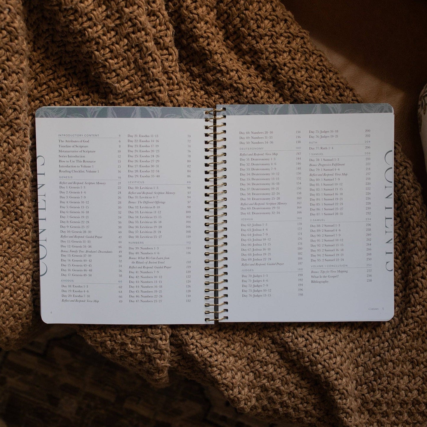 A Year in the Bible | Vol 1 Bible Study