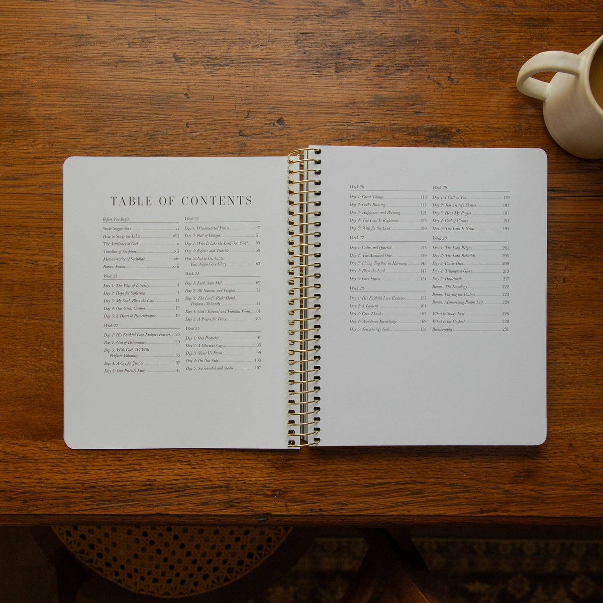 The Psalms Spiral Bible Study | Volume 3