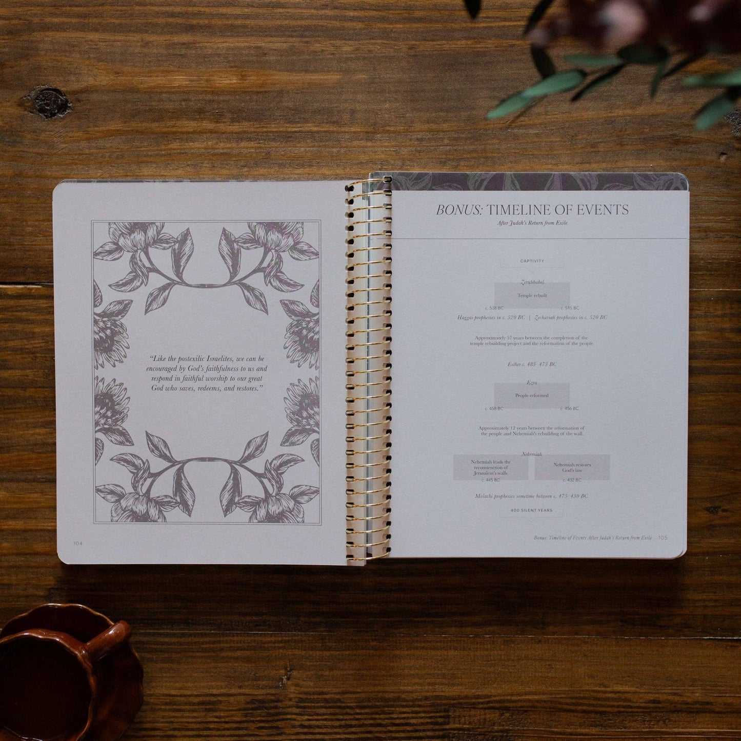 A Year in the Bible | Vol 2 Bible Study
