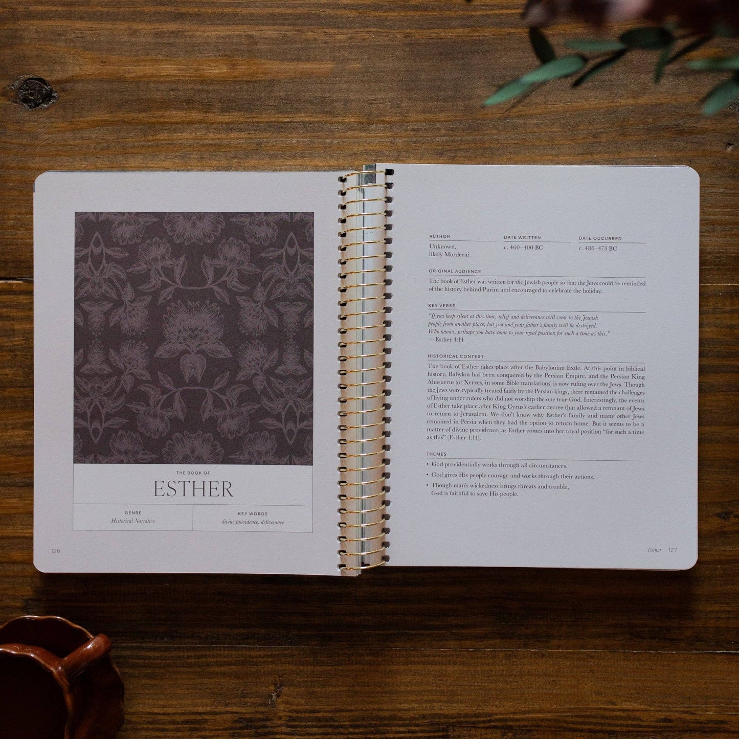 A Year in the Bible | Vol 2 Bible Study