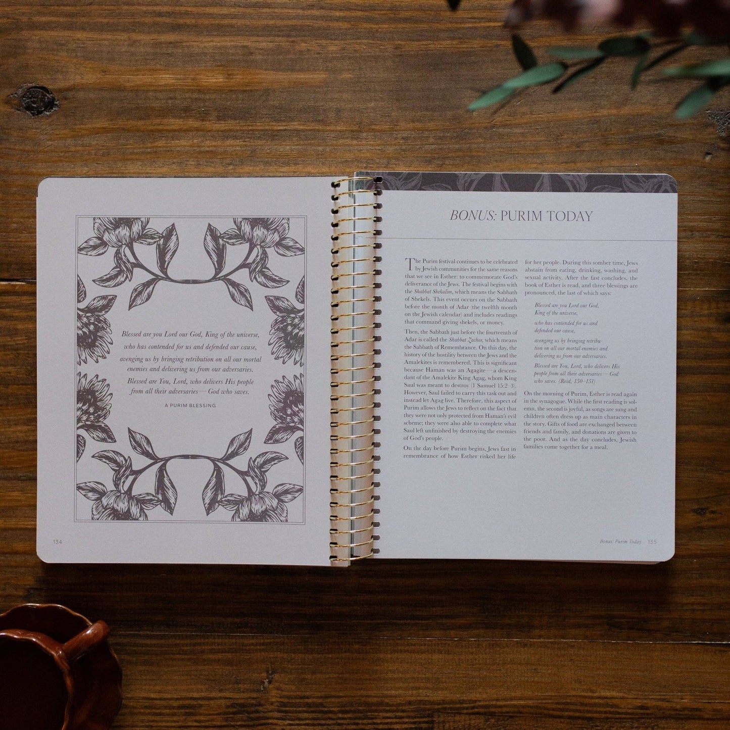 A Year in the Bible | Vol 2 Bible Study