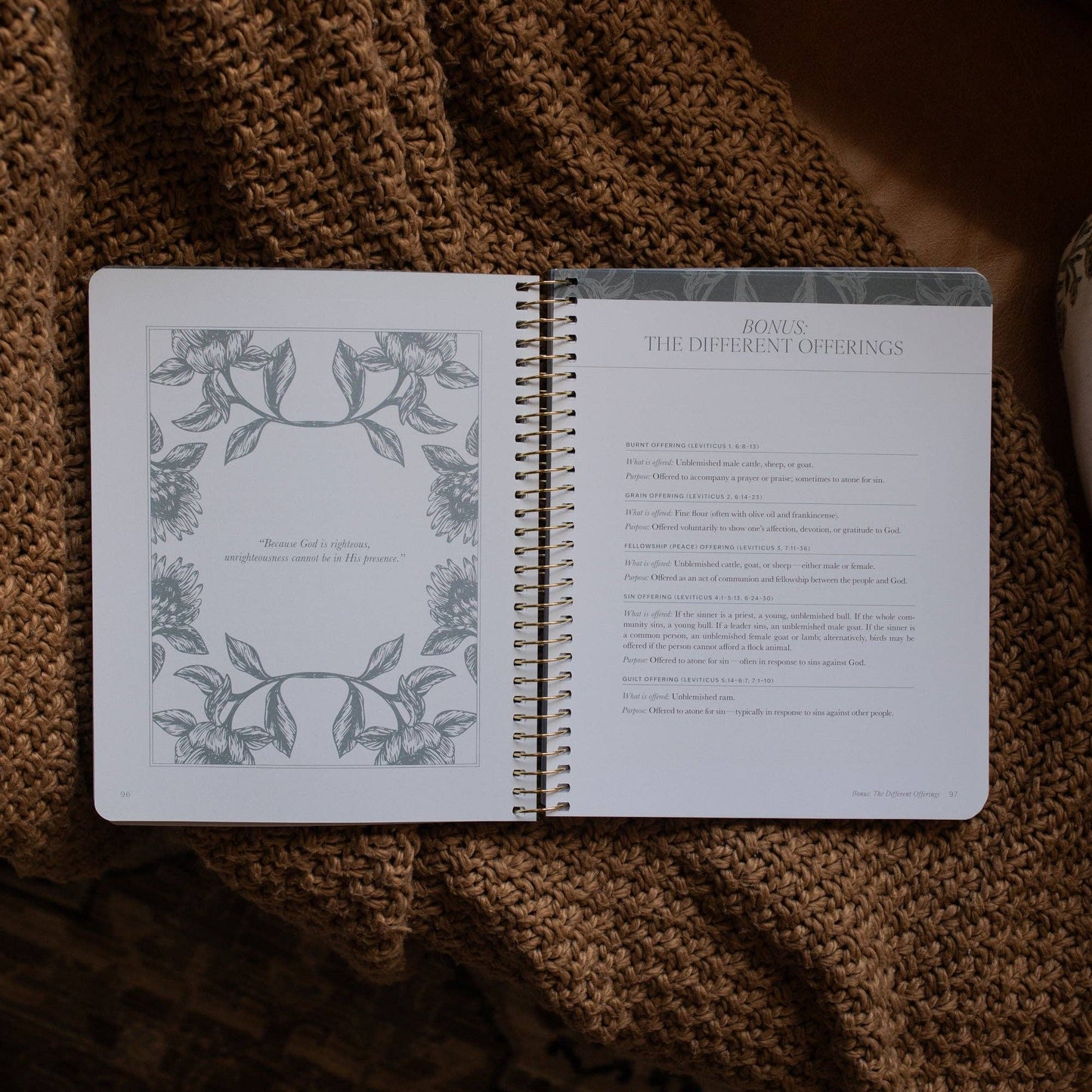 A Year in the Bible | Vol 1 Bible Study