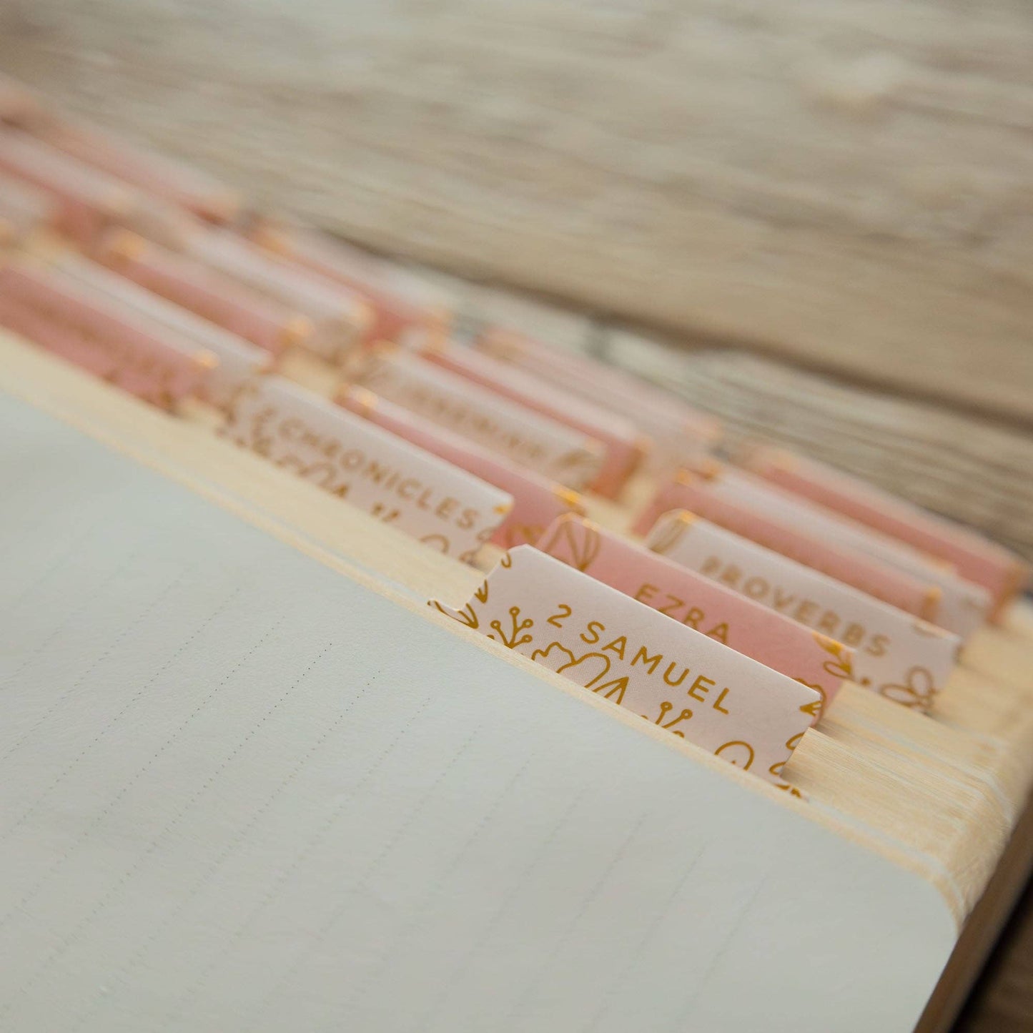 Gold Foil Bible Tabs - Melon