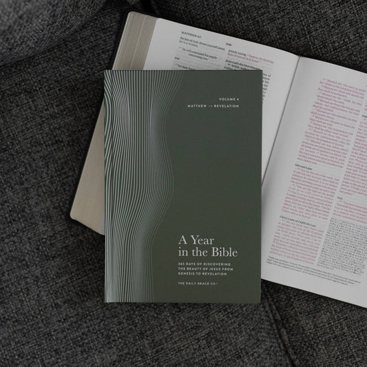 A Year in the Bible | Men's  Volume 4 Bible Study
