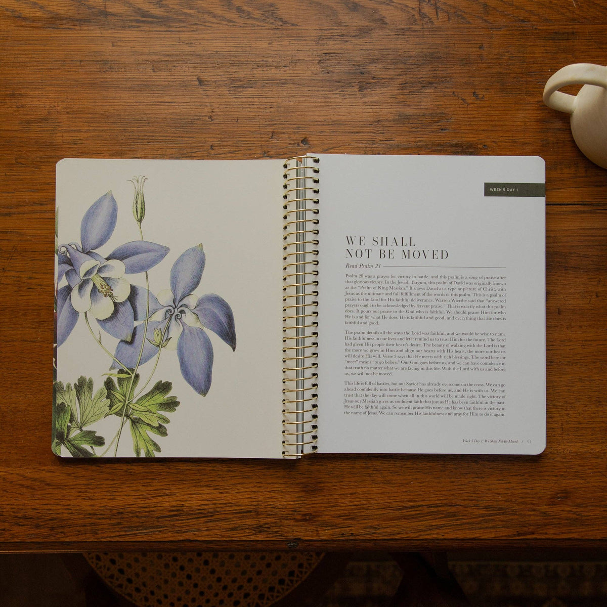 The Psalms Spiral Bible Study | Volume 1