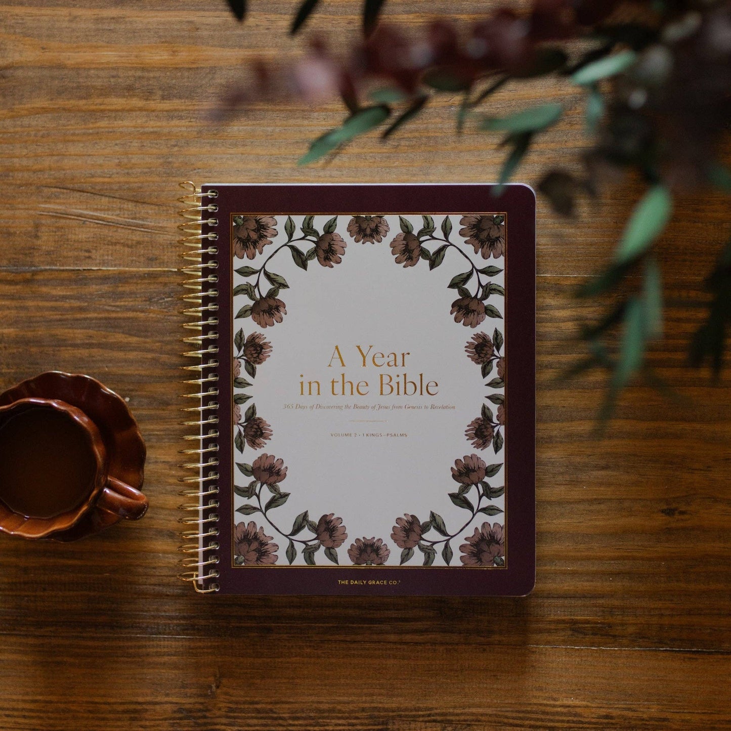 A Year in the Bible | Vol 2 Bible Study