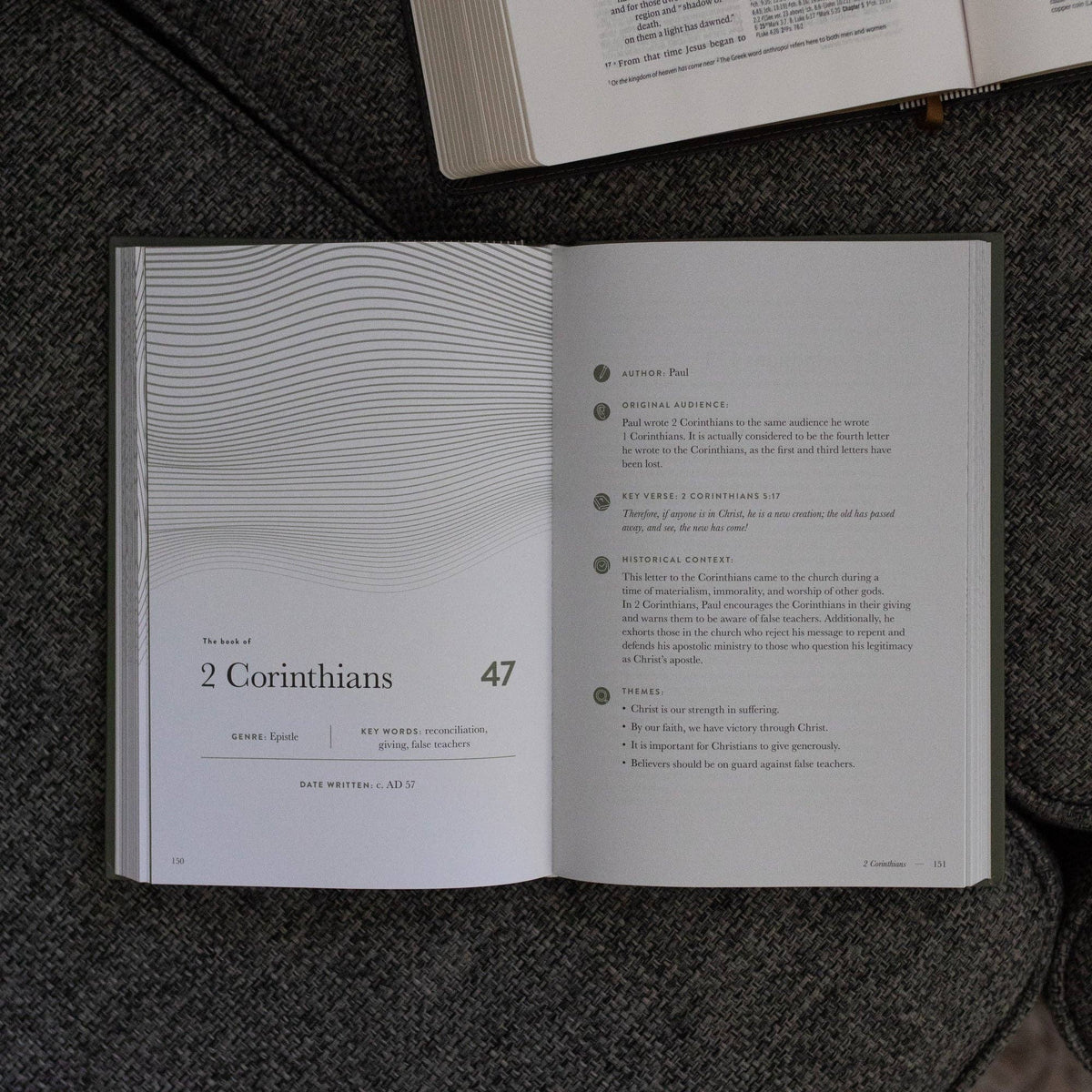 A Year in the Bible | Men's  Volume 4 Bible Study