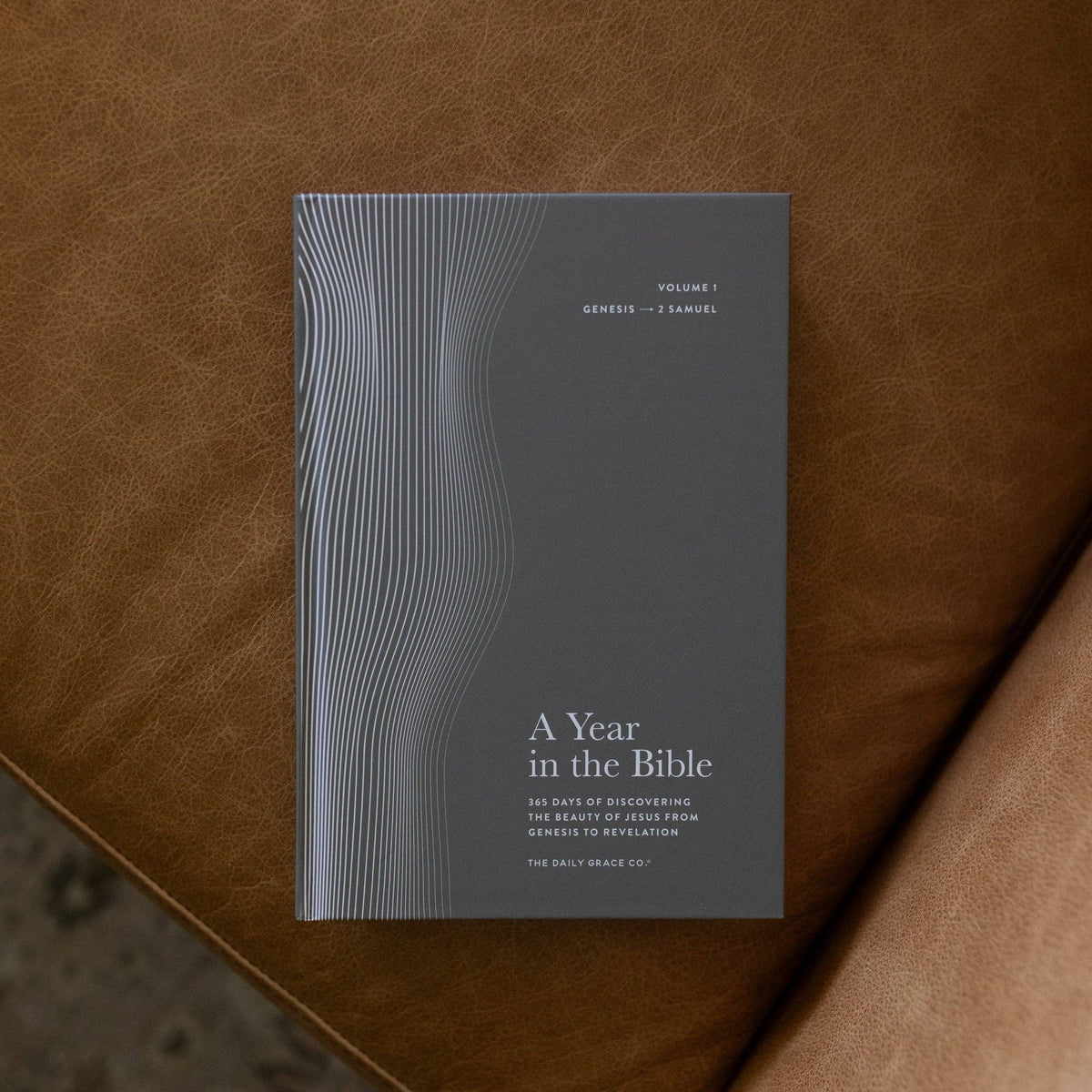 A Year in the Bible | Men's Volume 1 Bible Study