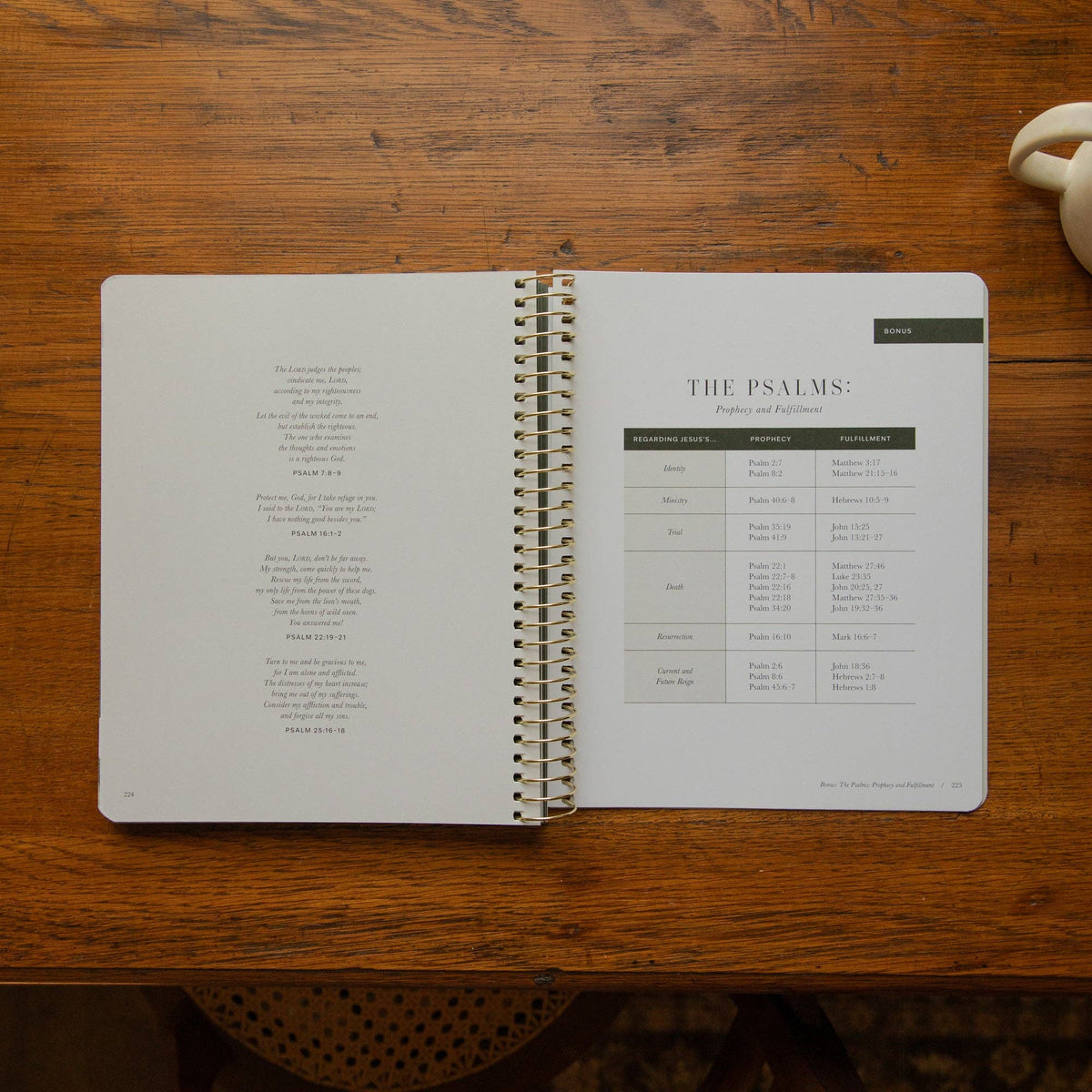 The Psalms Spiral Bible Study | Volume 1